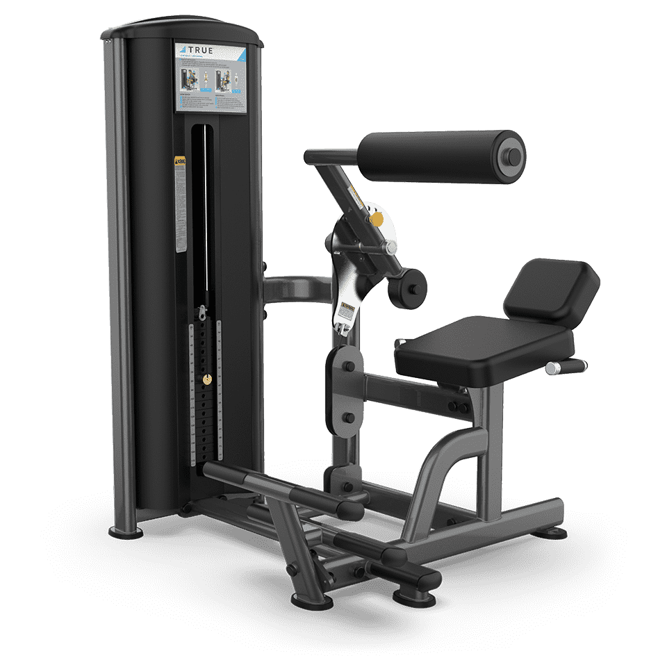 True Fitness FS-57 Low Back/Abdominal Dual Station