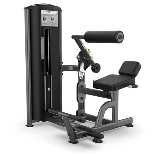 True Fitness FS-57 Low Back/Abdominal Dual Station