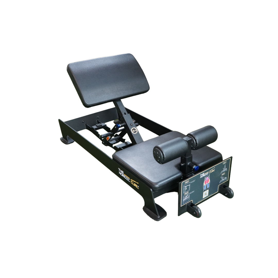 The Abs Company Nordic Curl