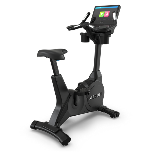 True Fitness Gravity Series Upright Bike