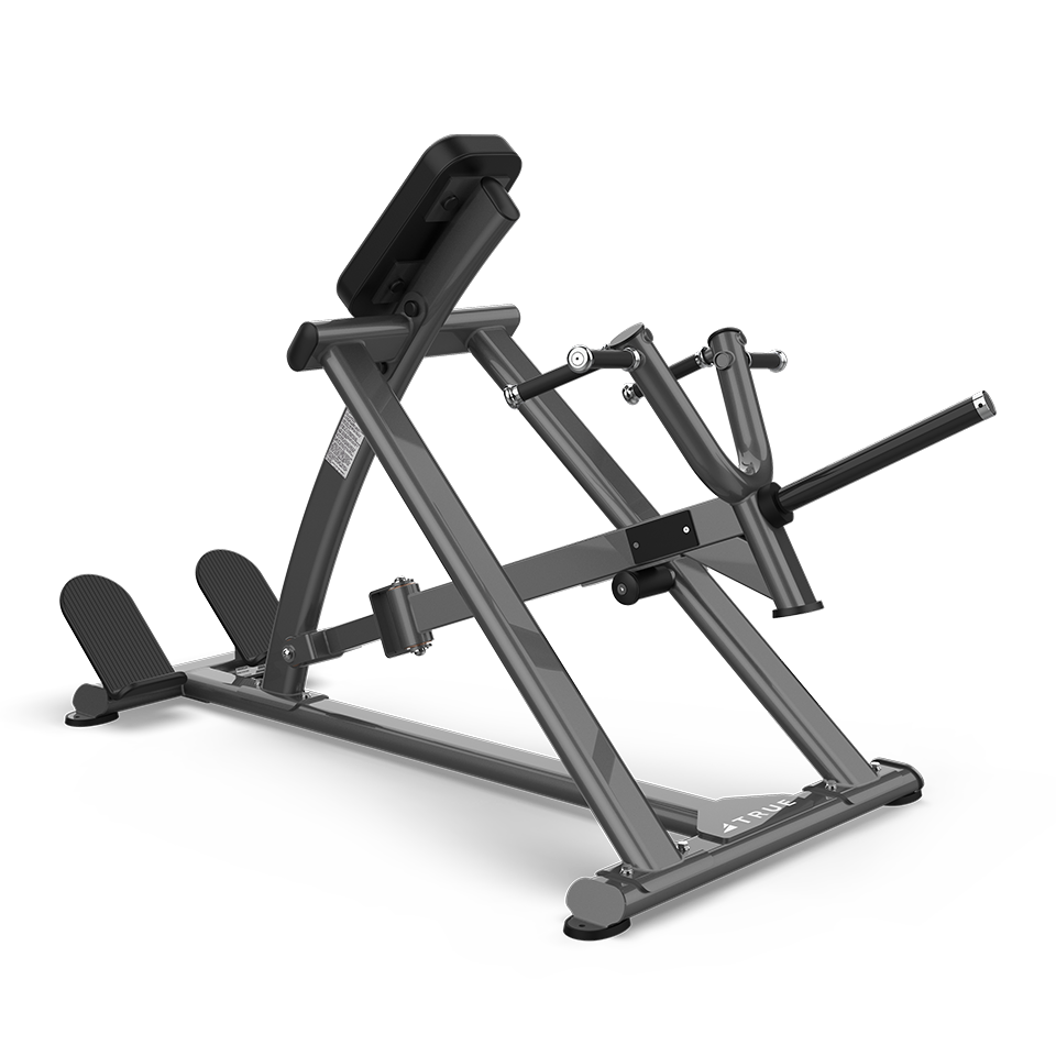 True Fitness XFW-5500 Lever Row