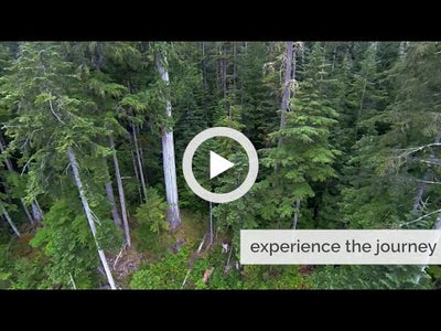 Health Mate Saunas Enrich 3 Infrared Sauna