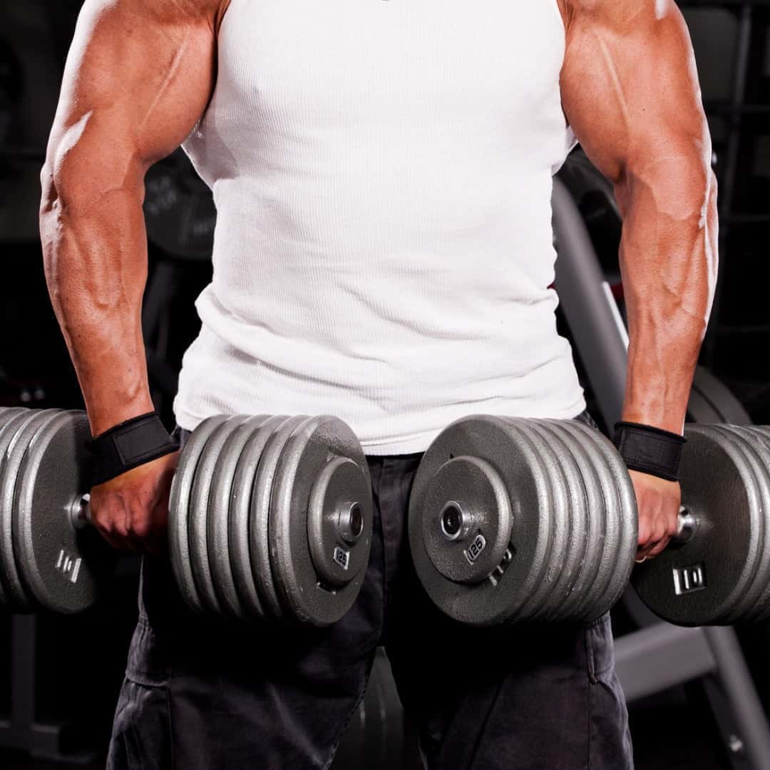 Grizzly Fitness Cotton Lifting Straps