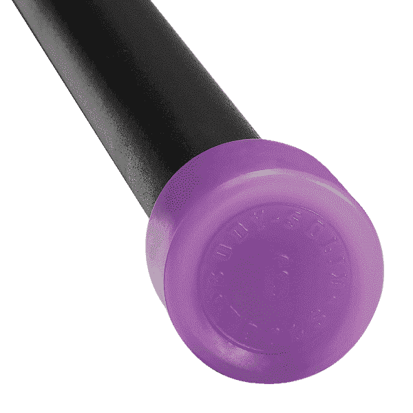 Purple Body-Solid Fitness Bar