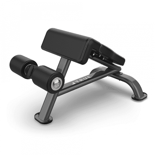 True SF-1010 Ab Bench