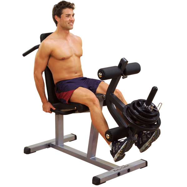 Body Solid GLCE365 Leg Extension & Prone Leg Curl Machine by Body Basics