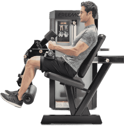FreeMotion ES803 Leg Curl