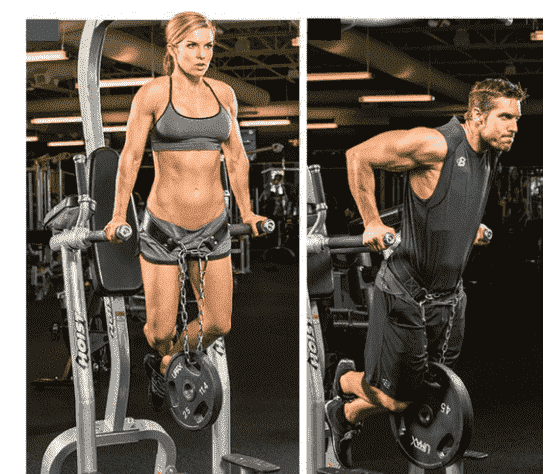 Grizzly Fitness Leather Pro Dip and Pull Up Weight Training Belt