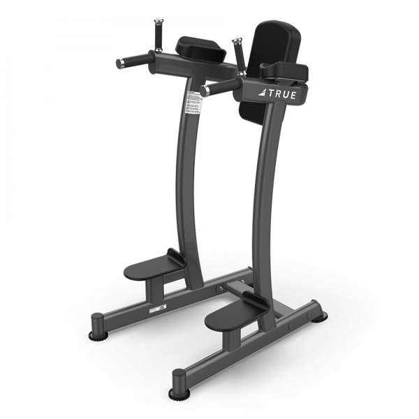 True XFW-6400 Vertical Knee Raise/Dip